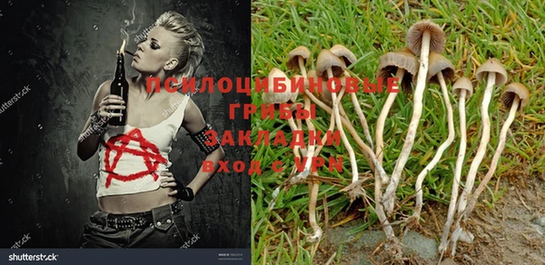 mix Осинники