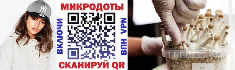 Псилоцибиновые грибы Cubensis Артёмовский